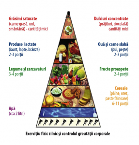 Piramida consum alimente